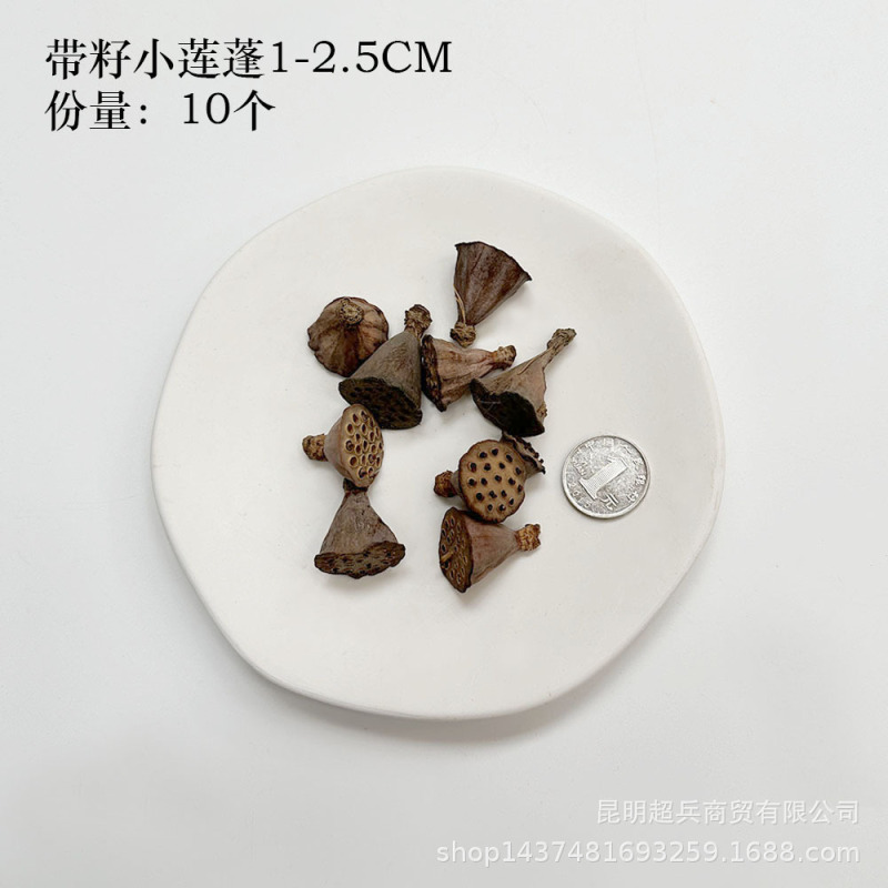 【各种果实类干花】圣诞果实类装饰品干花干果香薰蜡烛DIY橡果精|undefined