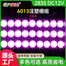 防水LED广告注塑模组灯箱1.5W发光字6013红色三灯高亮透镜模组