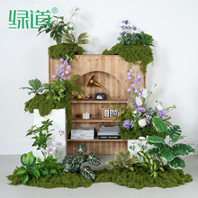 ��HY-AQ7��С�ͷ���Gֲ�쾰�ٻ��ݾ��^��ֲ̦��@���͏d�������^