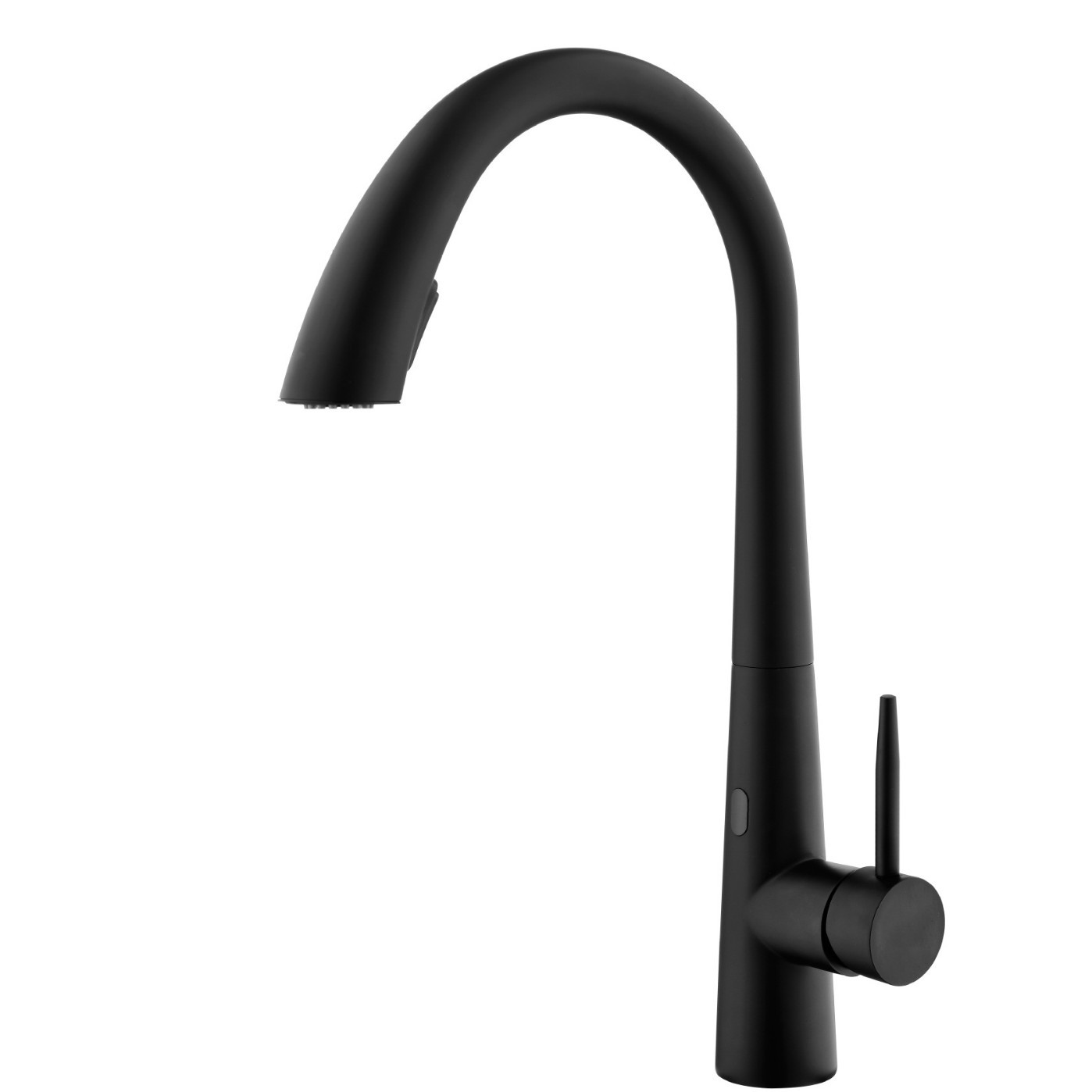 Negro (modelo de inducción)