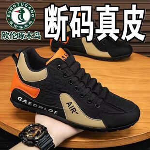 �W����ľ�B��Ь2026����ٴ��p��ܛ�����e��Ь�p��p������\��Ь