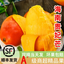 ��S�F��â������â�����r10ˮ�������������Fժ�t��������â