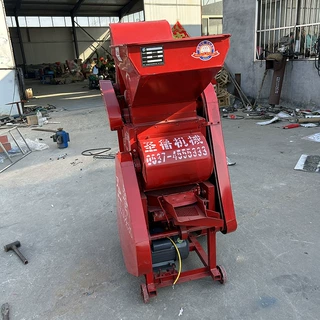 花生剥壳机家用全自动小型油坊商用脱皮剥皮去皮机 全自动 小型