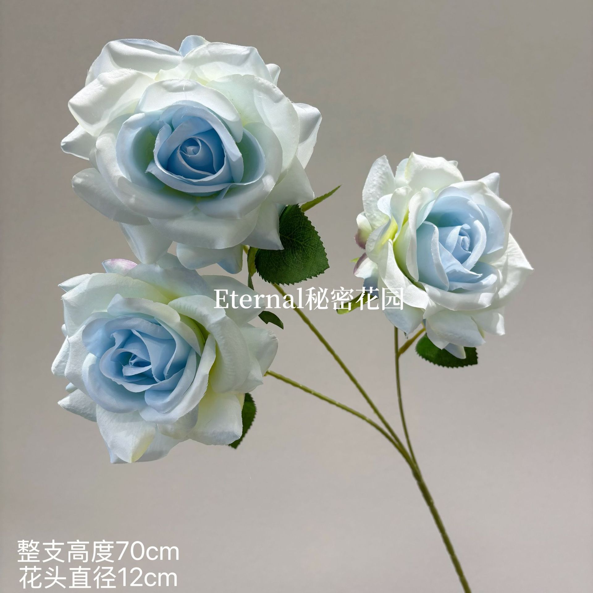 설산 장미