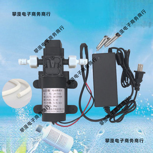 12V Micro Booster Water Pump 220V Self-Priming High-Pressure Water Pumping Diaphragm Pump Small Household Water Purifier Dc Water Pump