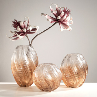Nordic creative twisted big belly transparent glass vase flowers simple wide mouth living room ornaments