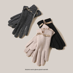 ins wool gloves women's winter cycling cute touch screen outdoor cold protection autumn driving plus velvet warmth Japanese style