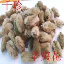 辛夷 辛夷花 大花去杠   千珍中药材批发 支持检测 可开发票
