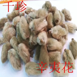 ���� ���Ļ� ��ȥ��   ǧ����ș�����l ֧�֙z�y ���_�lƱ