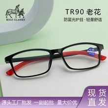 2025¿tr90{ϻR˽ϻRsrLpӯ