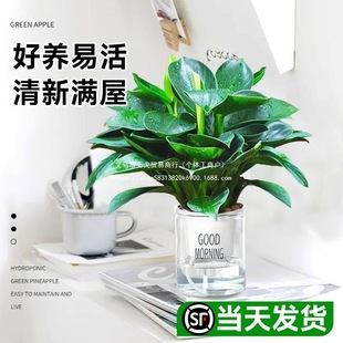 ˮֲ ~ԾG k҃G}՚ˮB