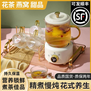 Health Pot Multi-Functional Household Thermal Insulation Small Office Fully Automatic Thickened Glass Tea Maker Boiling Water Tea Kettle