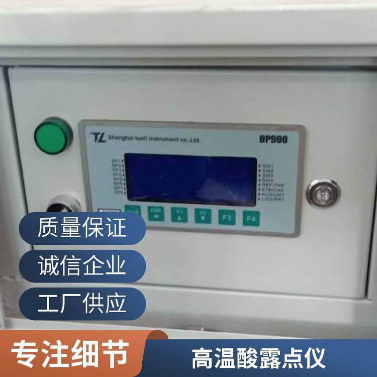 酸露点分析仪 在线精密酸露点仪 仪表露点仪货号DP900-G