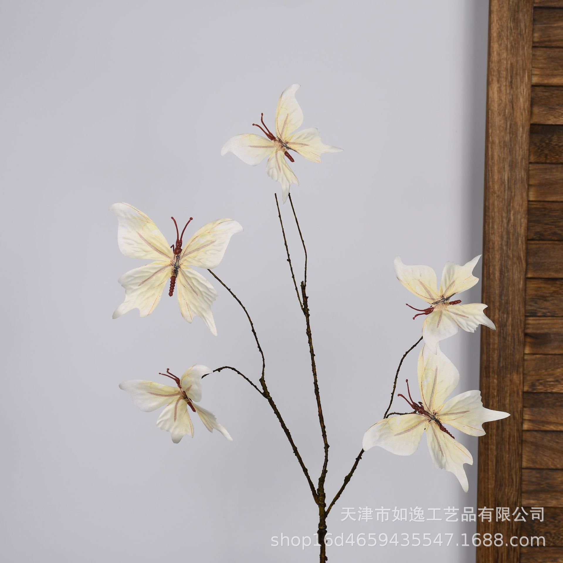 106-호랑나비-5머리