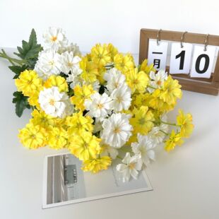 ins�L�߼�С�������СҰ��С�r�ռٻ����滨�[�O���ՔzӰ�����b