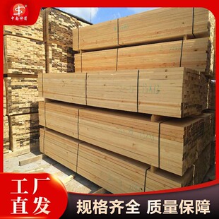 ���Bľ���S��  ������ľ5x10 ���N���|���l �r�񌍻� �l؛��