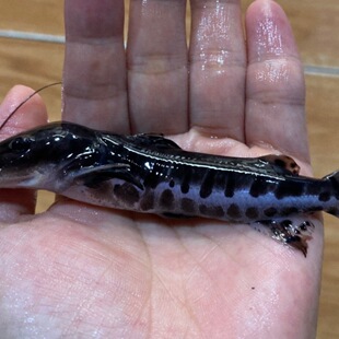 �����������~���w���y�����~��ˮ���~�������͟Ꭷ�^�p�~���]����