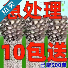 金针菇种植菌包银耳种植菌包磨姑菌种杏鲍菇种植包木耳家庭种植棒