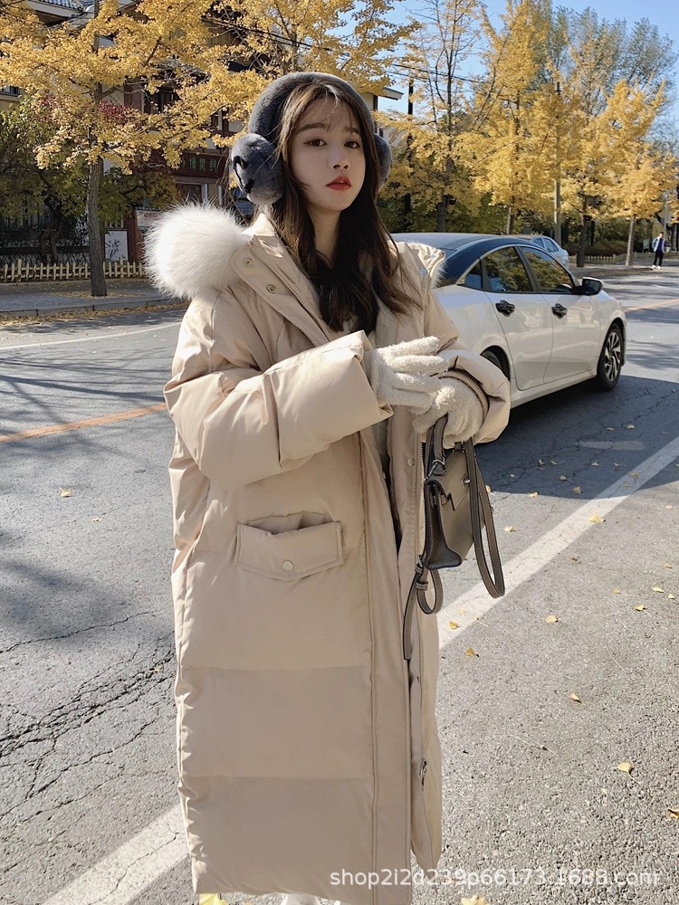 5718C5CC-E4A7-4D04-A27A-ED28C7