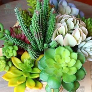 Ғ�c �������ֲ��ʯɏ���^��ɏ����ɏ�����Ƽ��������Ի�c��ˇ