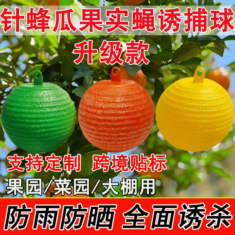 Armyworm мяч цитрусовые большие фруктовые ловушки для мух мяч Дыня ловушка для фруктовых мух убить фруктовую муху игла пчелиная ловушка мяч Дыня фруктовый сад специальный