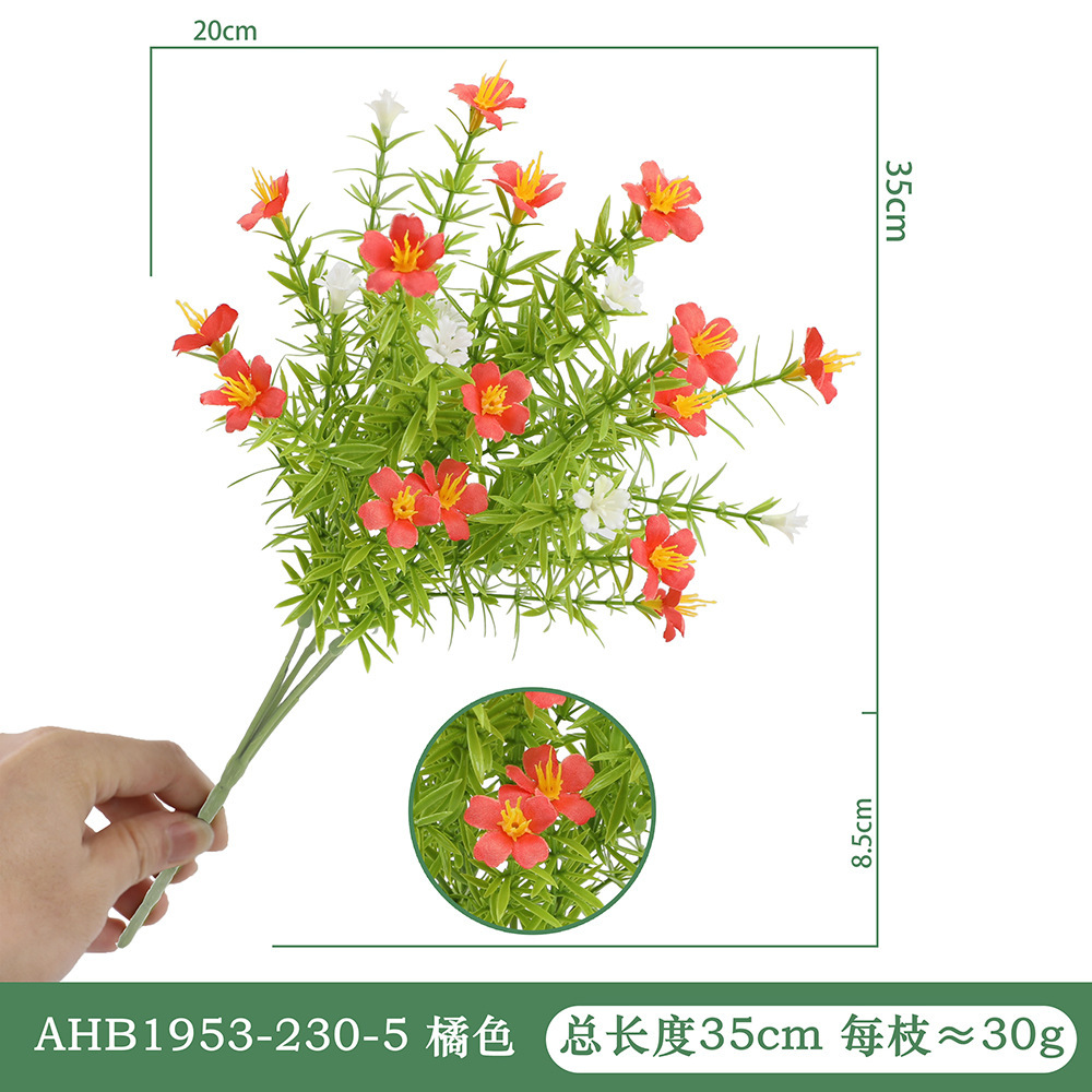 리틀 데이지-오렌지 AHB1953-230-5