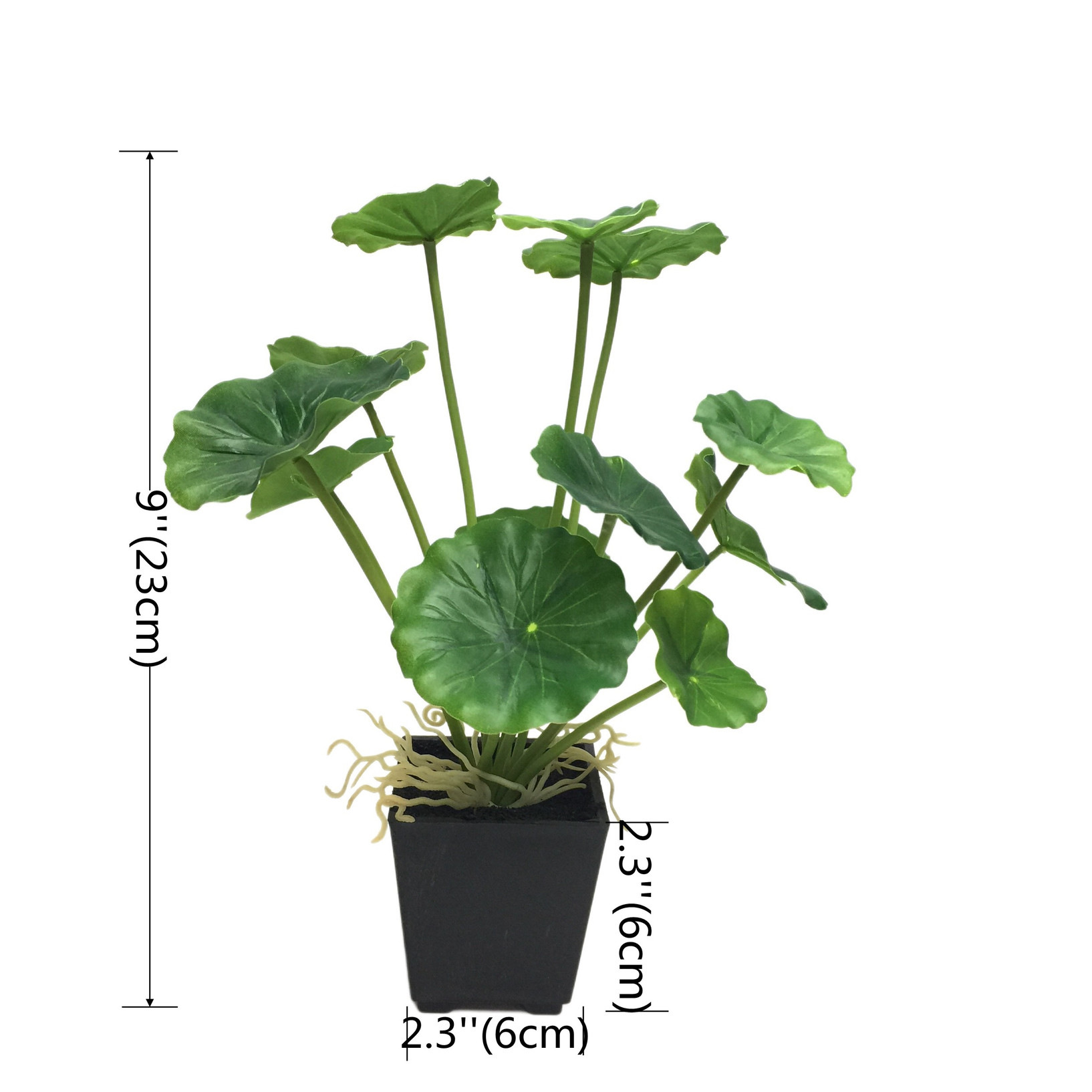 8209 화분 12잎 베고니아 잎 (최소 주문량 12개)