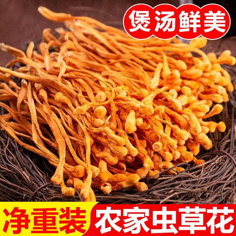 虫草花干货天然新鲜金蛹北虫草菇孢子头农户批发煲汤食材包邮