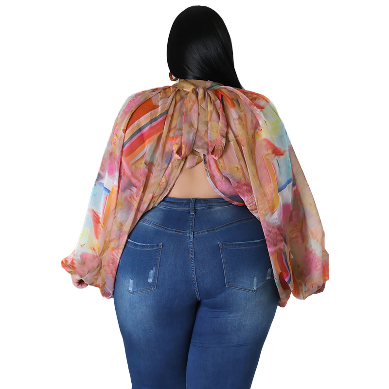 252g Weight Long Sleeve Sleeve Length Regular Sleeve Sleeve Type Spandex, Polyester, Chiffon Fabric Type Long Top Length Blouse Tops Type Daily, Street Occasion Round Neck Neckline Regular Fit Fit Type Color Block Pattern Spring&Summer Season Streetwear Style Blouse Long Sleeve Plus Size Tops Streetwear Color Block 27