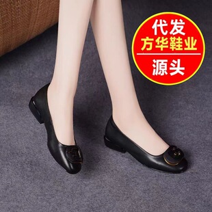 ����ƽ�׆�ЬŮܛƤƤЬ�A�^���ļ�2026����ܛ��ŮЬ����ưЬ�¿�