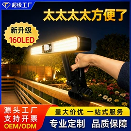 太阳能灯;庭院灯;室外LED