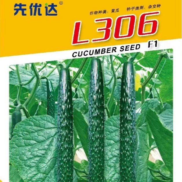 Оптовые семена огурца L306, зеленая кожица, зеленая мякоть, семена королевского огурца с oily king, листочек один, дыня один, легкие для посева весной и осенью дома у фермеров