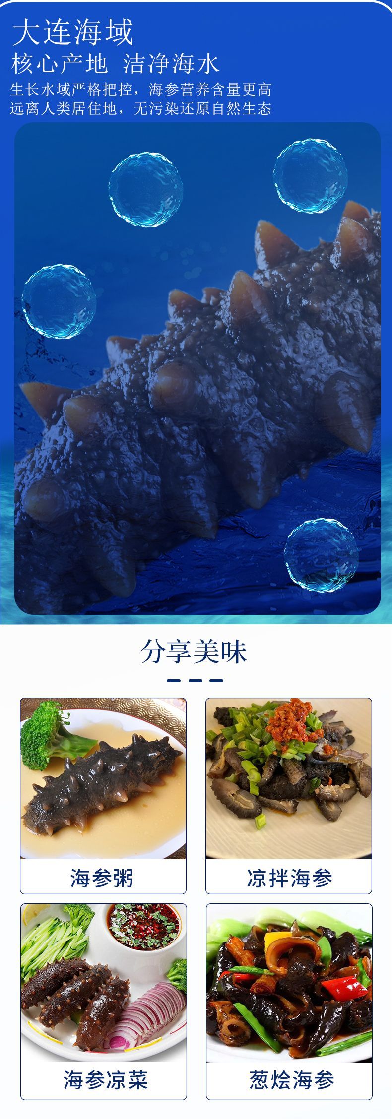 4号海参_09.jpg