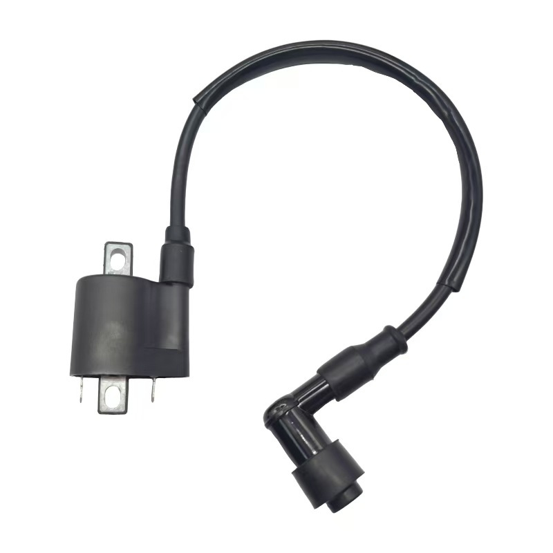 Suitable for Honda Motorcycle High-Voltage Package Cbf/Cbr/Cr250 Crf450 Cr500 Trx650 Ignition Coil