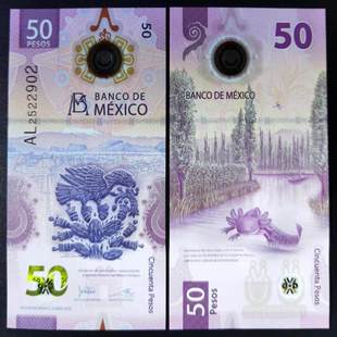 ȫ��UNC 2021-2023�� ī����50���������n ���� P-133�ɹ����