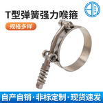 强力卡箍  T型强力 不锈钢喉箍 管箍 抱箍