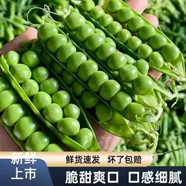 块茎类;其他蔬菜;苹果