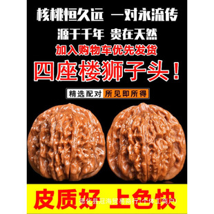 ����������������^���^�ְѼ��Cˢ���{��ʿ����Ұ�����Ұ���