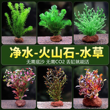 �Ѻ�ˮ��ֲ�����ˮ�����B�b����ȫ������~�׻�ɽʯ����ˮ�쾰