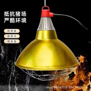 ��ɫ���ش���ֽ��ٷ��C�W�ַ������ͺ����͸ߜؿɿ��{���Bֳ����