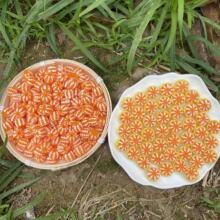 ��������ˮ���߲�΢�s�ɐ�С�Ʒ���