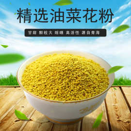 卓宇油菜花粉青海大颗粒食用花粉散装批发现货25kg整箱正品直销