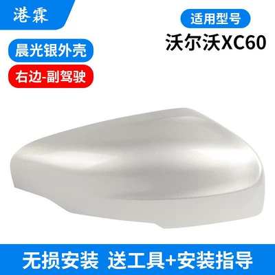 Signal Light – Rear mirror/rearview mirror assembly - shell-morning-light-silver-co-pilot