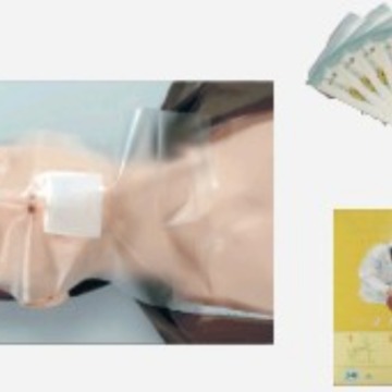 ����ֱ��һ����CPRѵ����Ĥ CPR������Ĥ ������Ĥ ������Ĥ