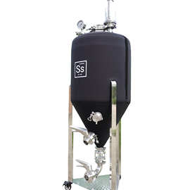 Ss EASYBREW酿造 双层保温保压发酵罐 精酿啤酒设备 出口设备其他