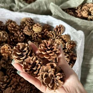 �S�ҬF؛���l ��Ȼ�|�����ɹ��ɻ��ɹ�ֲ����τ����b[���}�Q