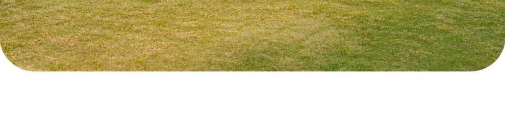 f8f23043-3f85-4948-98d9-eae6e116754c.jpe