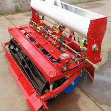 ���޲˲��N�C�r�����״��c���C��������Nֲ�C�Ͳ���ʩ�ʷNֲ�C