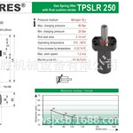 西班牙 TECAPRES气弹簧挺杆 TPSLR 250 6-8周
