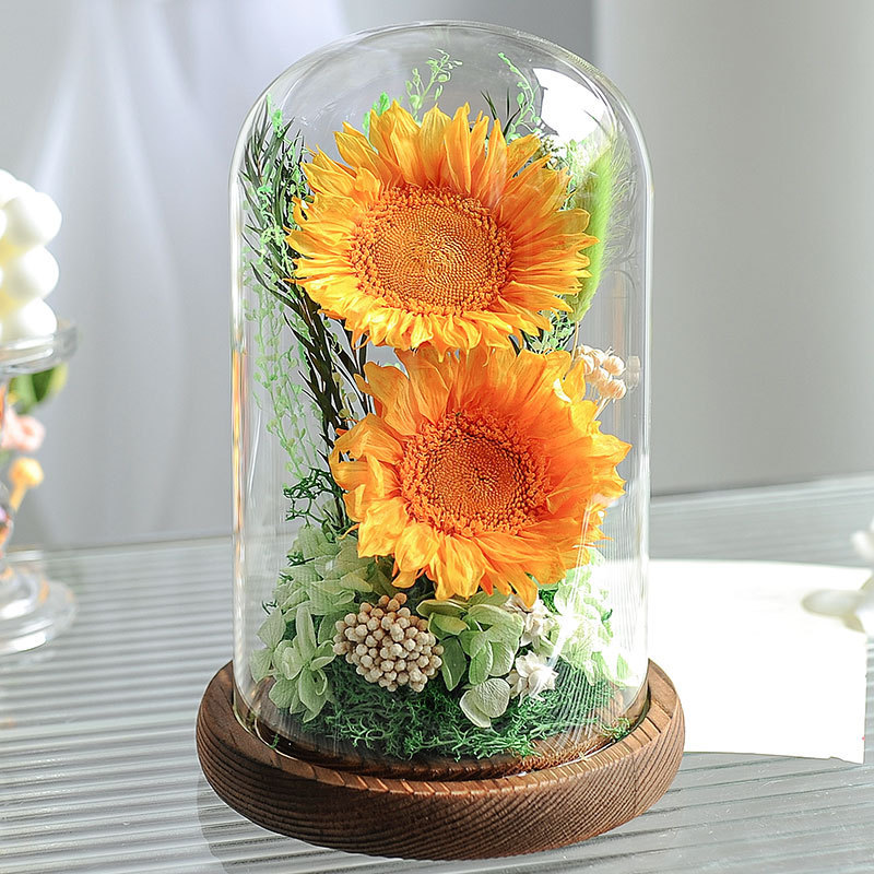 Girasoles al por mayor flor inmortal cubierta de vidrio flores de sol verdaderas flores de escritorio decoración de alta calidad regalos creativos